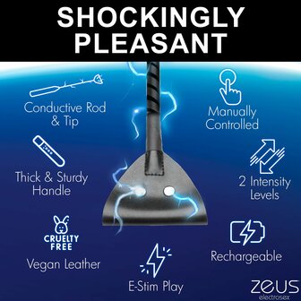 E-Stim Paddle