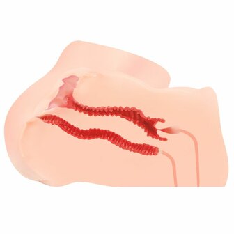 Hanna Onahole Masturbator &ndash; Realistische Dubbele Masturbator met G-spot