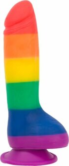 Rainbow Dildo &ndash; Levensecht Genot met Extra Vibratie 19cm